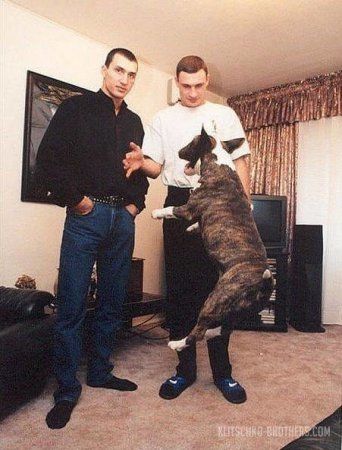 1452354312_1452079119_294684