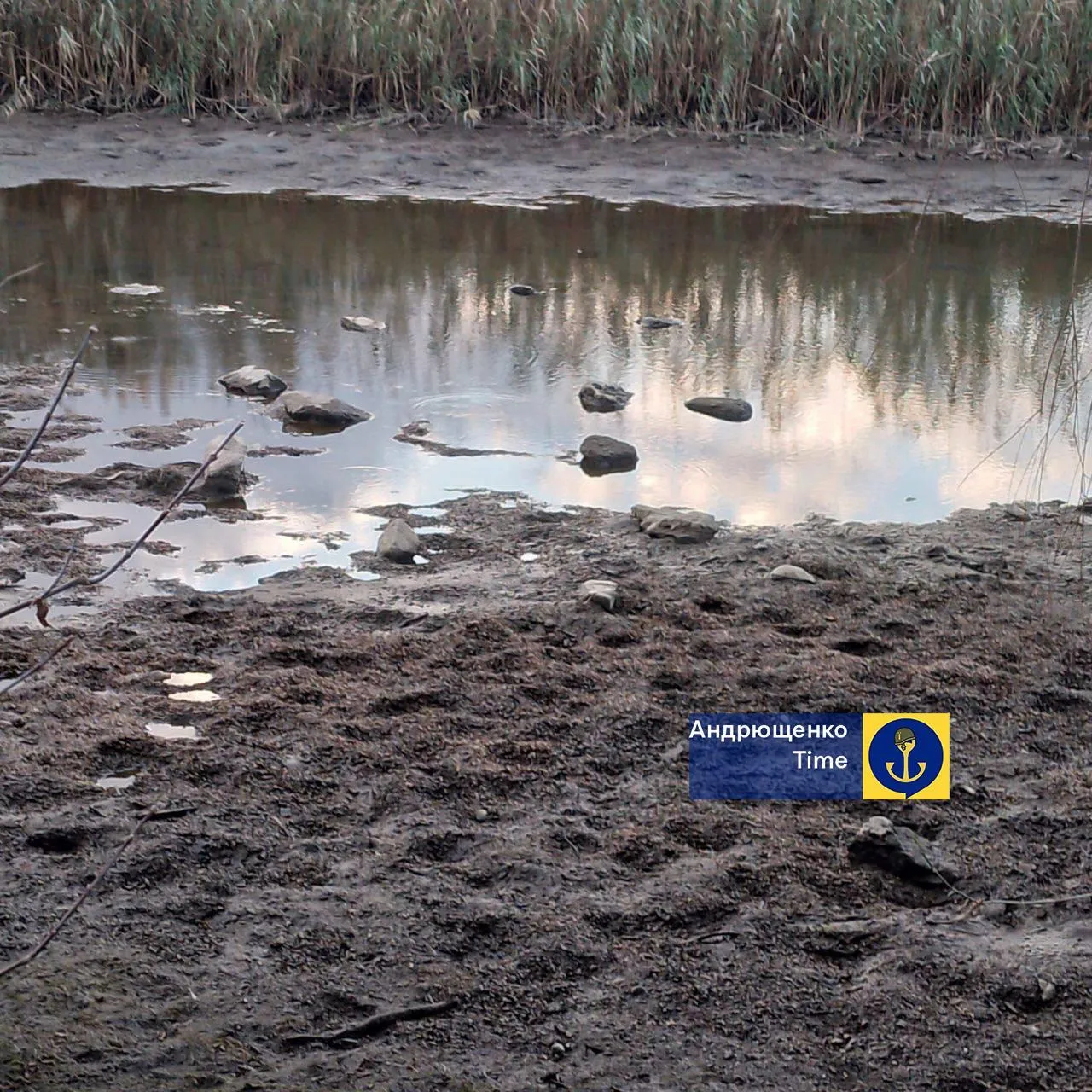 Так само починалося в Криму: Павлопільське водосховище біля окупованого Маріуполя стрімко міліє