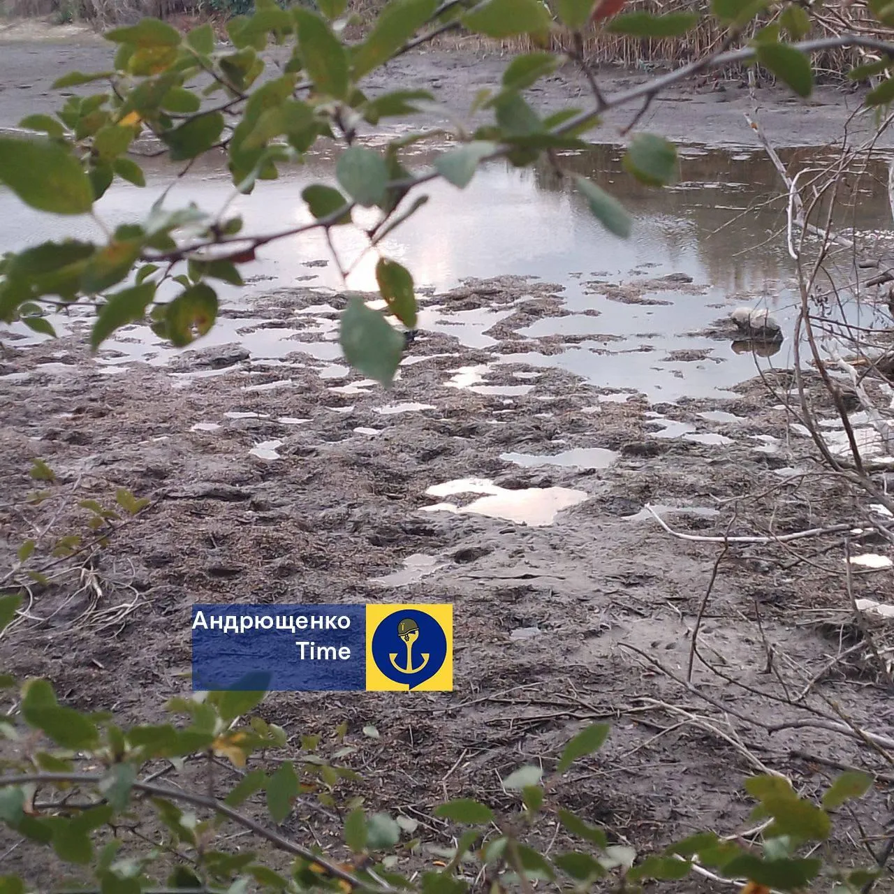 Так само починалося в Криму: Павлопільське водосховище біля окупованого Маріуполя стрімко міліє