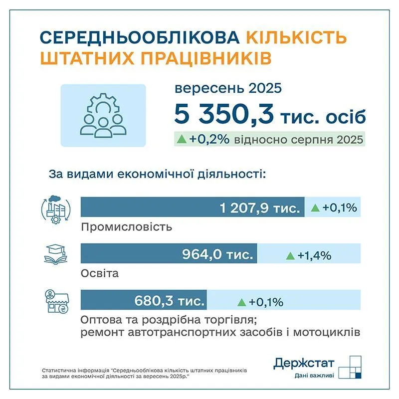 Какое количество штатных работников
