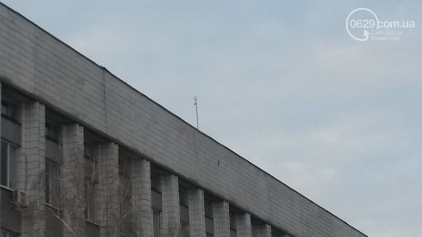 31 dqxikeidqxidqeant