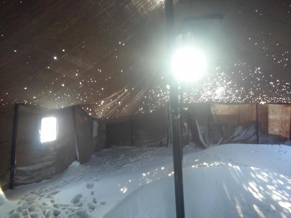 221 221 dqxikeidqxidqeant