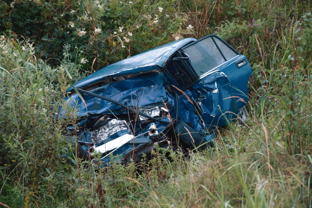 12 dqxikeidqxidqrant