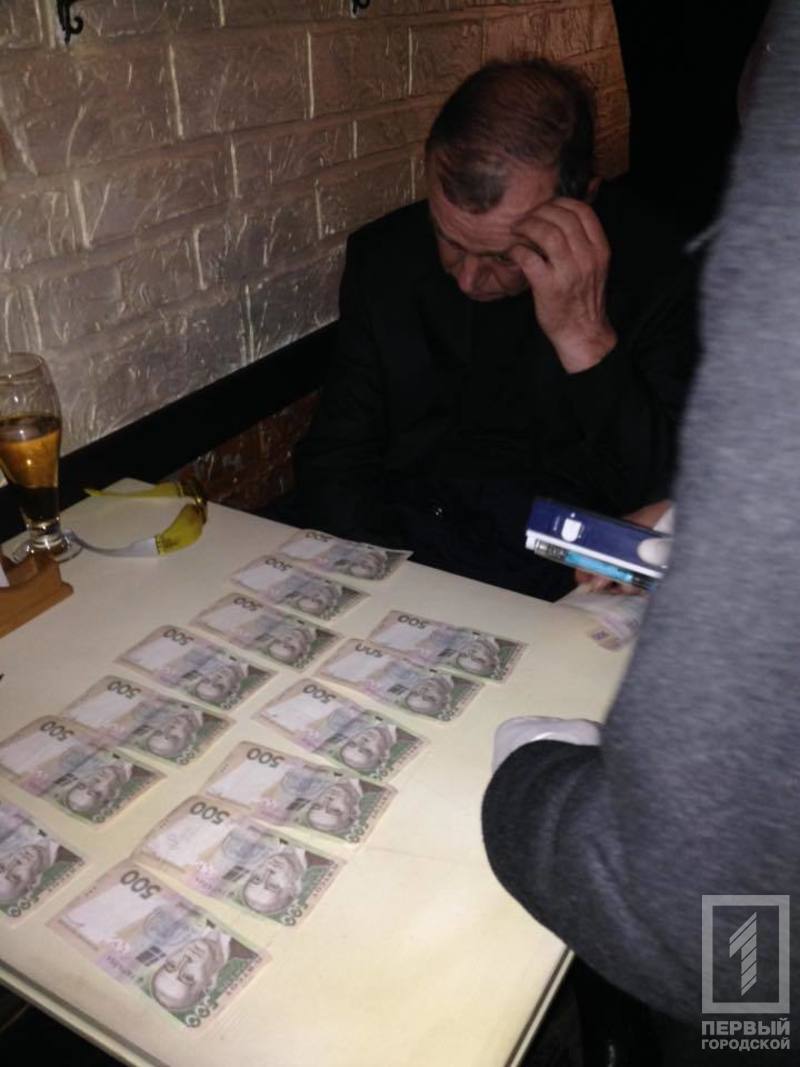 12065579 1311112945581168 3767704561198212942 n