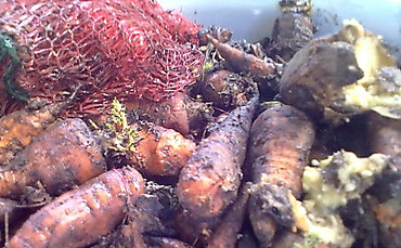 Даме - особняки, детям - гнилая морковка: история успеха Надежды Шуличенко - Copyright https://news.pn dqxikeidqxidqeant