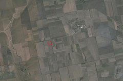 Даме - особняки, детям - гнилая морковка: история успеха Надежды Шуличенко - Copyright https://news.pn