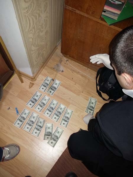 :      dqxikeidqxidqrant