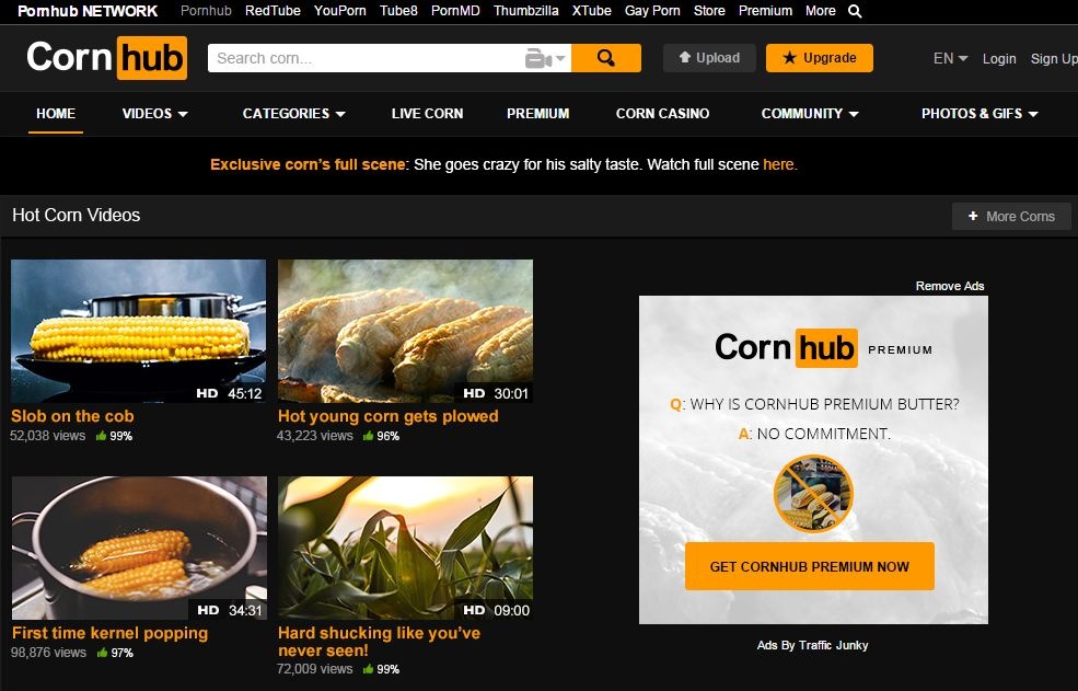 Скриншот с портала Pornhub