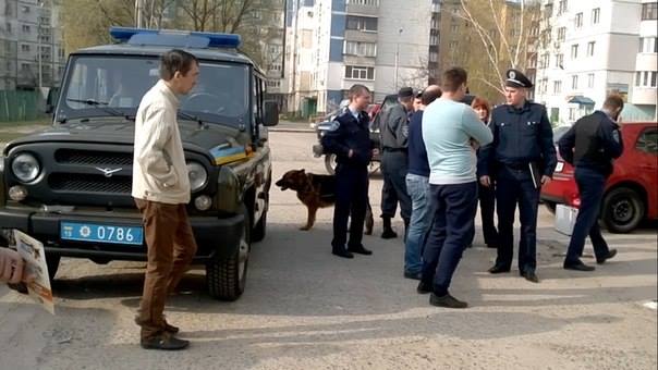 12988108_221846198204706_1987278594_n dqxikeidqxidqeant