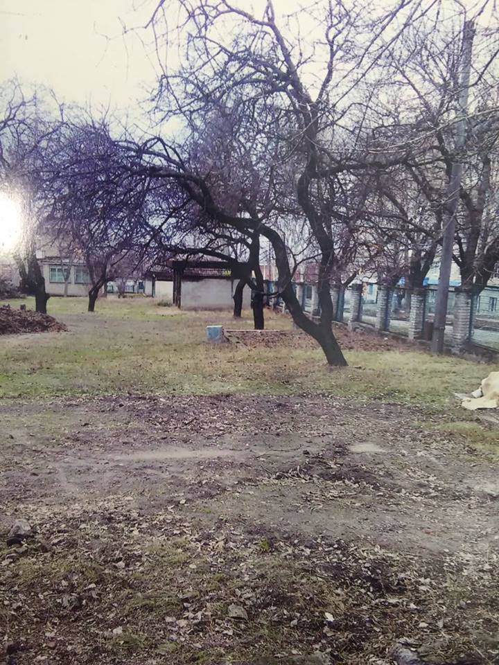 12963416_883459611763389_7973208517985818046_n