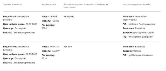 виды деятельности Анны Чуб