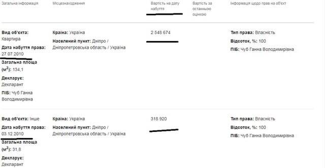 деятельность Анны Чуб