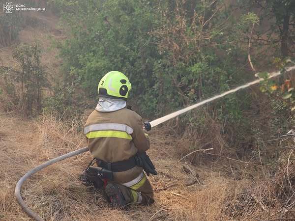 01.08.2025 - 1 dqxikeidqxiqdzant