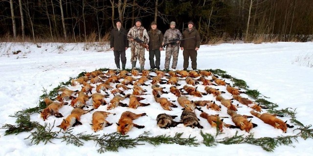 03 dqxikeidqxidqrant