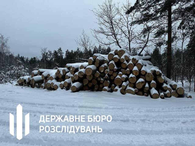 02.02.2025 -  dqxikeidqxidqrant