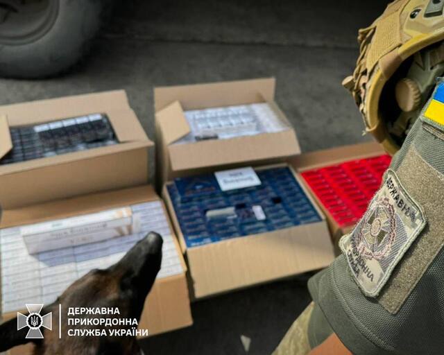 03.12.2024-  dqxikeidqxidqeant