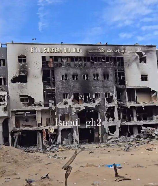 05.04.2024 -  dqxikeidqxidqeant