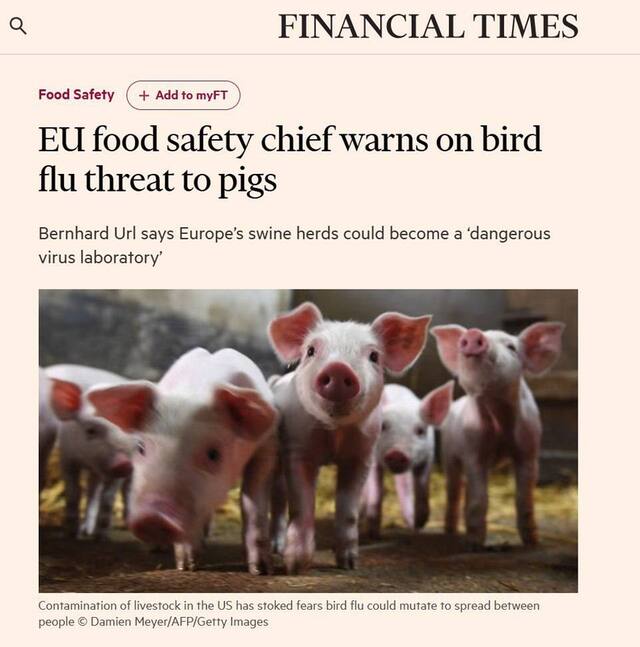 05.05.2025 -1  dqxikeidqxidqrant