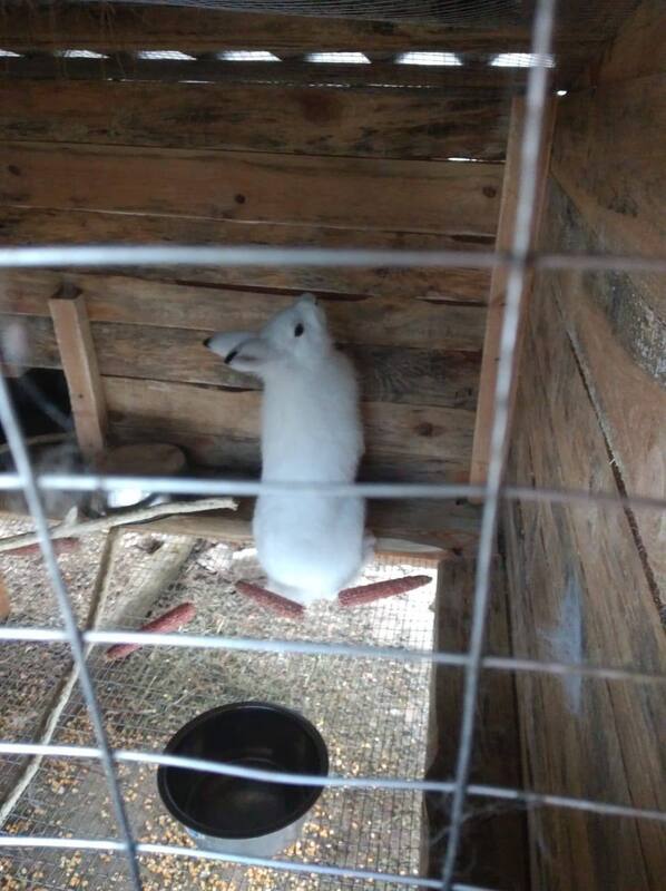 05.06.2023- dqxikeidqxiqdzant