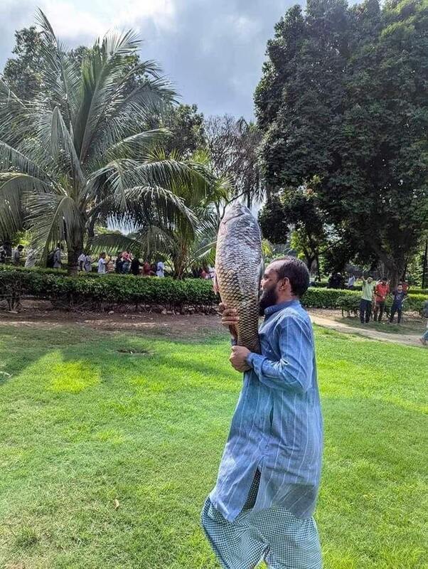 05.08.2024-  dqxikeidqxidqeant