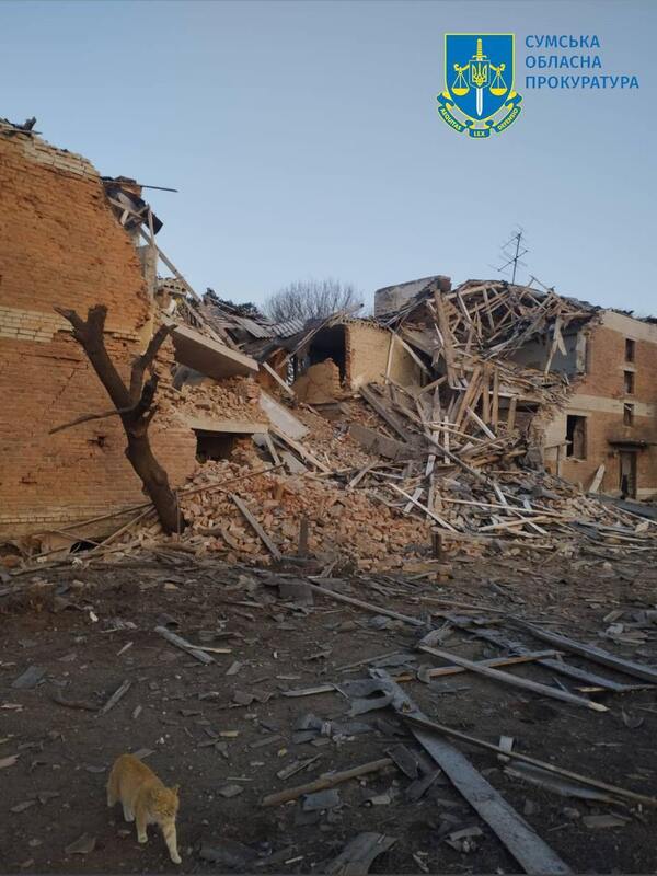 06.02.2025 -  dqxikeidqxidqrant