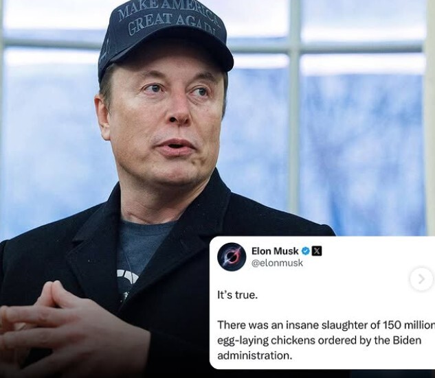 06.03.2025 -1  dqxikeidqxiqdzant