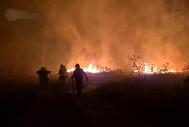 07.05.2024 -  dqxikeidqxidqeant