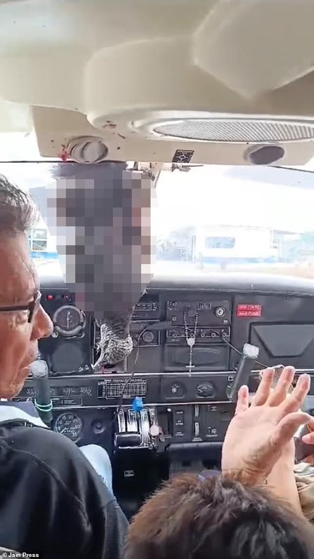 07.12.2024- dqxikeidqxidqrant