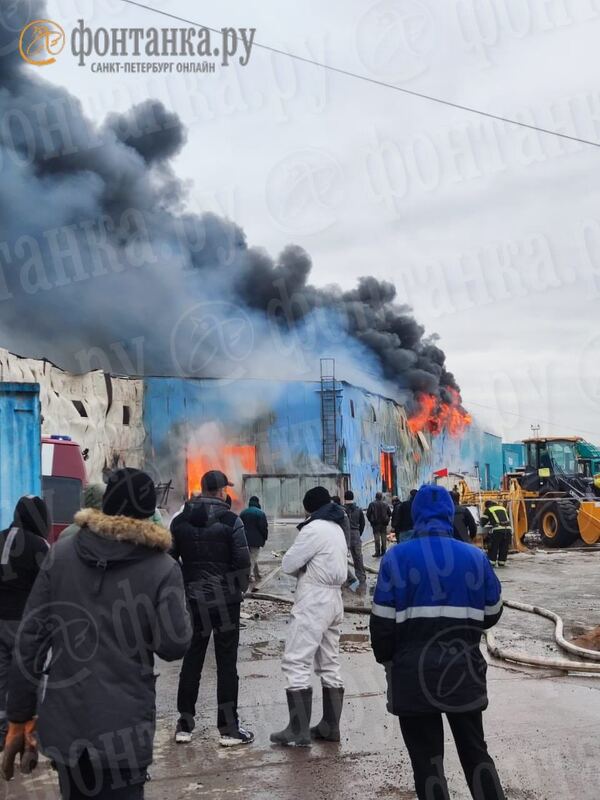 08.03.2024 -  dqxikeidqxidqrant