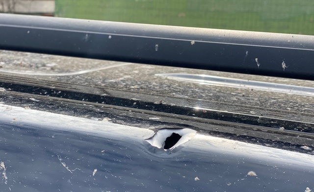 08.03.23 dqxikeidqxidqeant