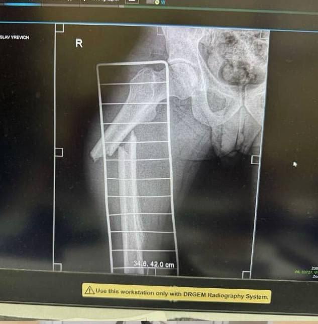 08.05.2025 - 1 dqxikeidqxidqrant