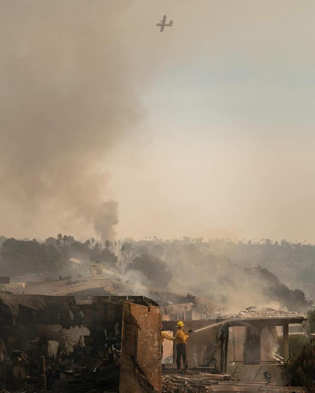 09.01.2025 -  dqxikeidqxidqeant