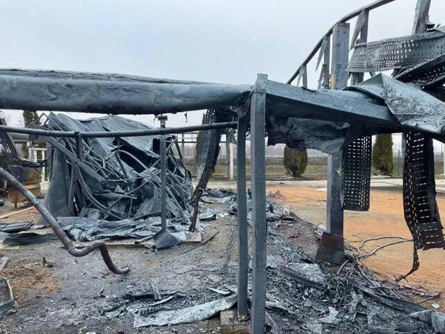 09.02.2025 -  dqxikeidqxiqezant