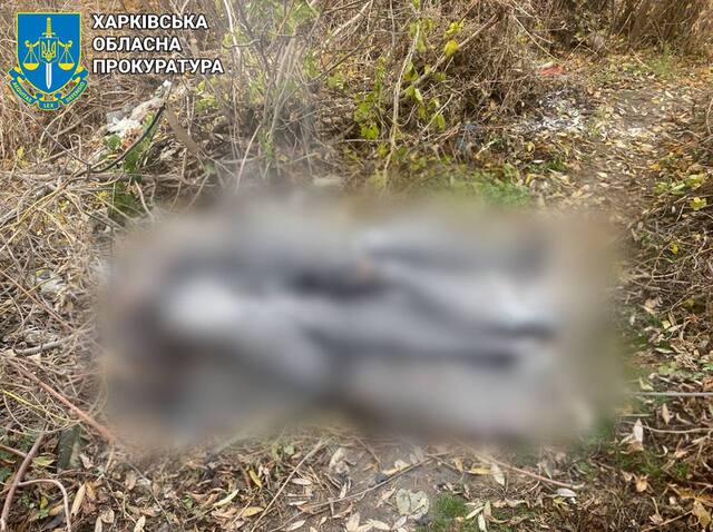 09.11.2024 -  dqxikeidqxidqeant