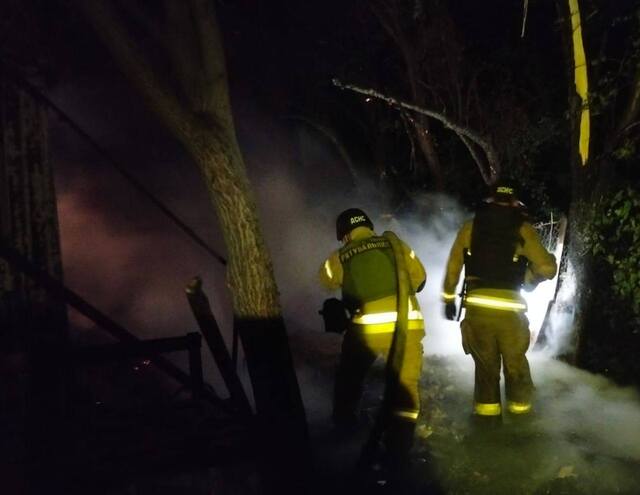 10.06.2025 - 1 dqxikeidqxidqrant