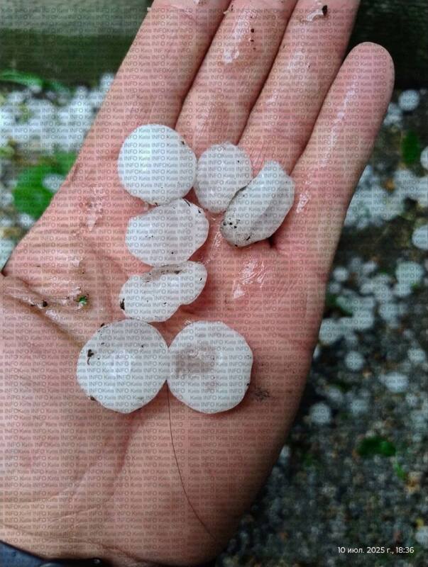 10.07.2025-1 dqxikeidqxiqdxant