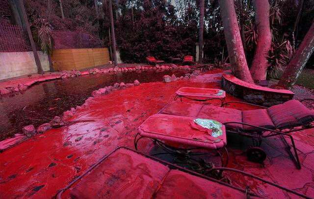 11.01.2025 -  dqxikeidqxidqrant