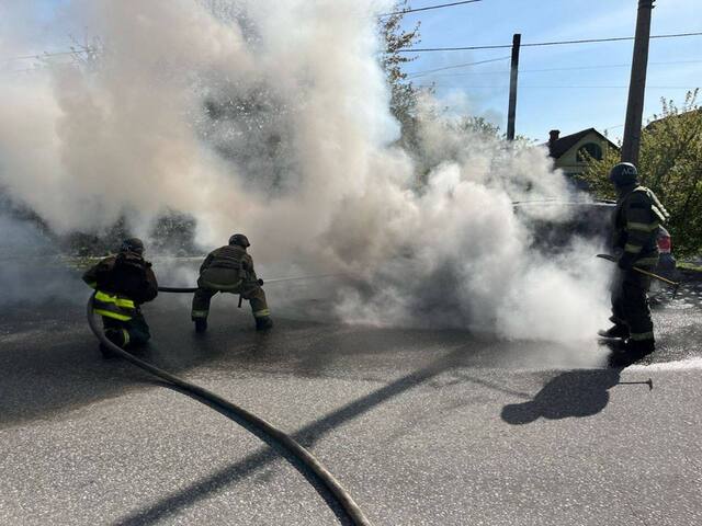 11.04.2024 -  dqxikeidqxidqeant