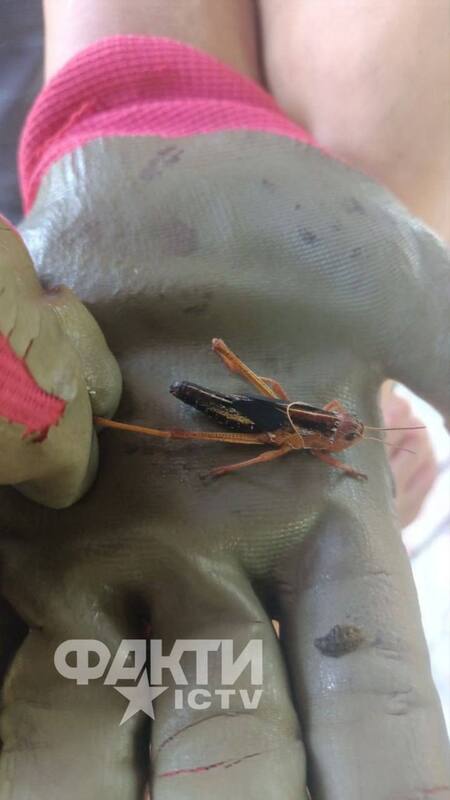 11.07.2025 - 1 dqxikeidqxidqrant