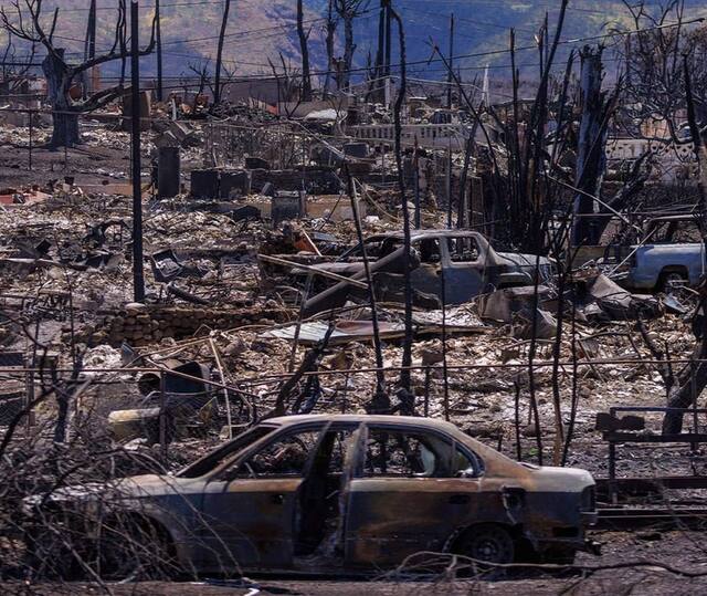 11.08.2023-  dqxikeidqxiuuant