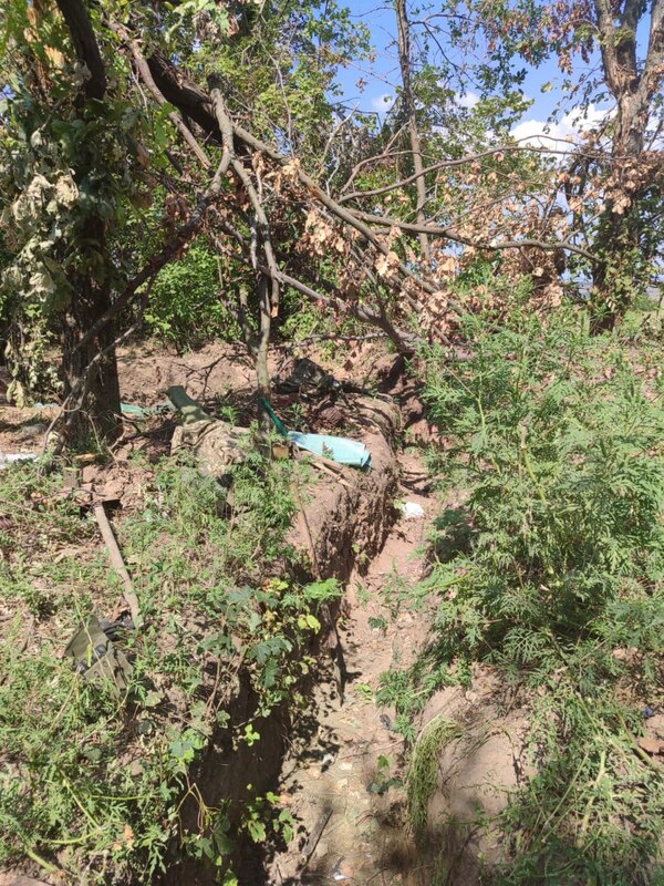 11.08.2023-  dqxikeidqxidqrant