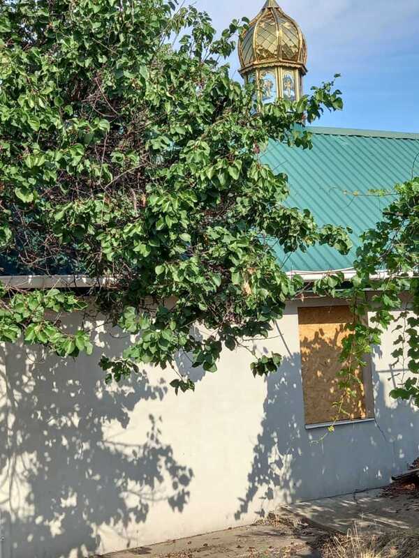 11.08.2024 -  dqxikeidqxidqeant