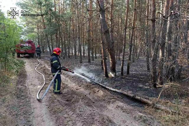 11.08.2024 -  dqxikeidqxiqtrant