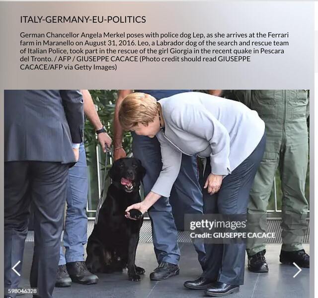 11.12.2024- dqxikeidqxitkant