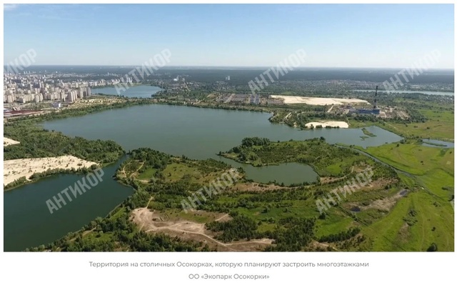 13.02.2025 - молчанов