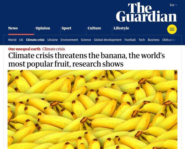 13.05.2025 - 1 dqxikeidqxidqrant