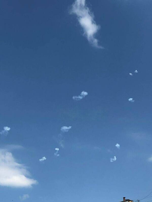 13.06.2023-  dqxikeidqxidqrant