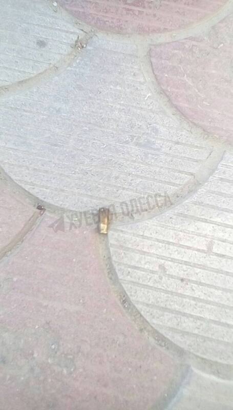 13.06.2023-  dqxikeidqxidqrant