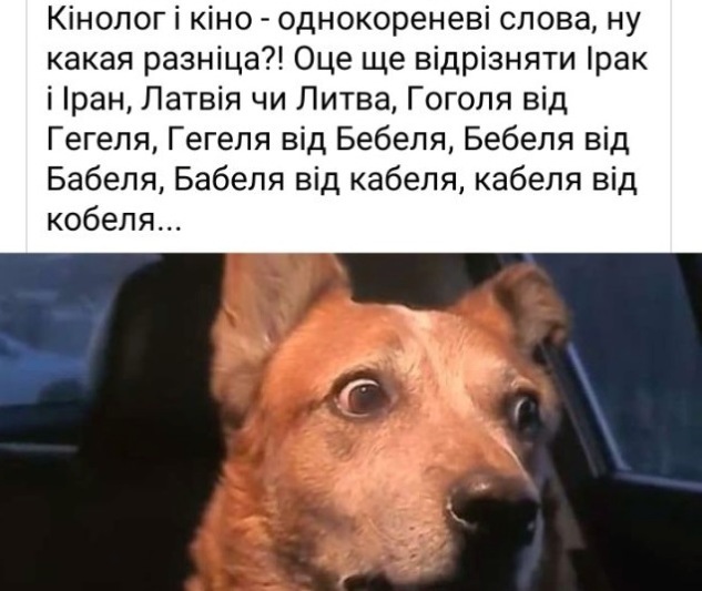 13.11.2022 dqxikeidqxiqttant