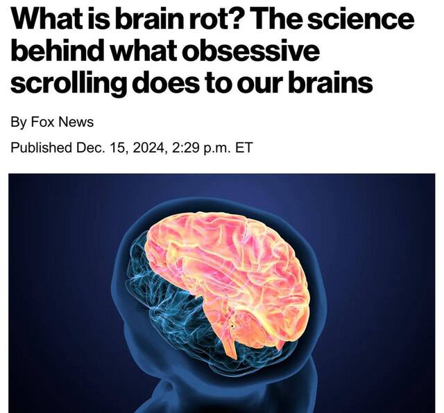 15.12.2024 -  dqxikeidqxiqxrant